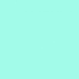 Spectrum Plain Sea Foam 2000 T21