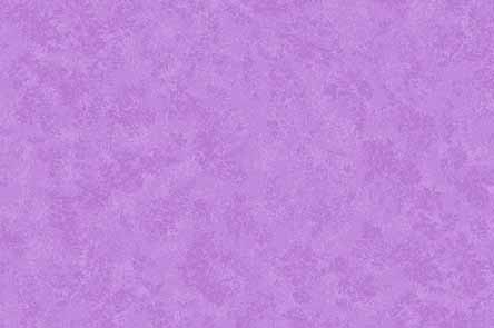 Spraytime - Orchid