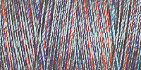Gutermann Sulky No.30 - 4031