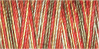 Gutermann Sulky No.30 - 4121
